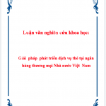 Luận văn nghiên cứu khoa học giải pháp phát triển dịch vụ thẻ tại ngân hàng Thương mại nhà nước Việt Nam