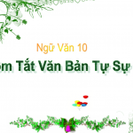 Tóm tắt văn bản tự sự