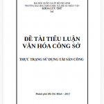 Tiểu luận văn hóa công sở, thực trạng sử dụng tài sản công