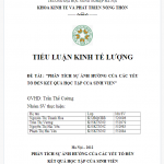 Tiểu luận kinh tế lượng "các yếu tố ảnh hưởng đến kết quả học tập của sinh viên"