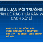 TIỂU LUẬN MÔI TRƯỜNG: VẤN ĐỀ RÁC THẢI RẮN VÀ CÁCH XỬ LÍ 