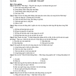 Giáo án bồi dưỡng học sinh giỏi ngữ văn lớp 8 hay 